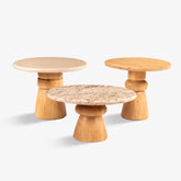 Saanra Coffee Table Set of 3